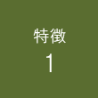 特徴1