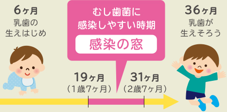 歯菌から守るために